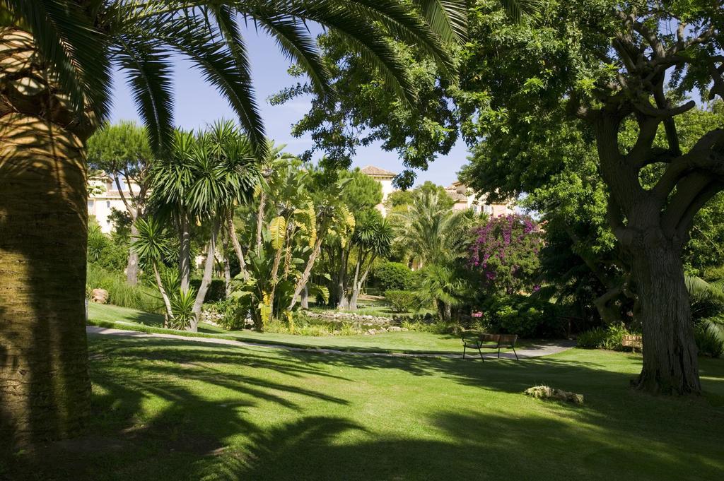 The Oasis By Don Carlos Resort (Adults Only) Marbella Zewnętrze zdjęcie