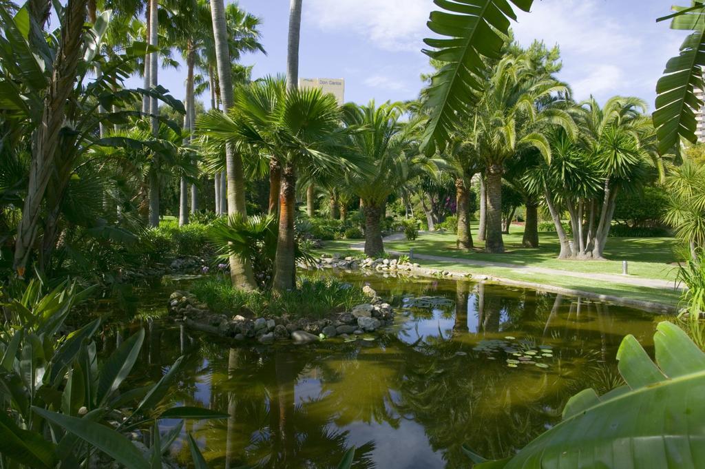 The Oasis By Don Carlos Resort (Adults Only) Marbella Zewnętrze zdjęcie